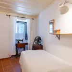 Rent 2 bedroom apartment of 60 m² in lisbon