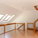 Rent 1 bedroom apartment of 164 m² in Trier