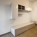 Rent 2 bedroom apartment of 50 m² in Turin