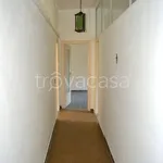 Rent 3 bedroom apartment of 75 m² in Albano Laziale