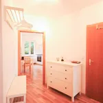 Rent 2 bedroom apartment of 54 m² in Essen