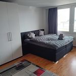 Rent 1 bedroom apartment of 35 m² in Erlangen