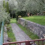 Rent 2 bedroom apartment of 55 m² in Torri del Benaco