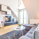 Rent 1 bedroom apartment of 60 m² in Zagreb