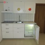 Rent 1 bedroom apartment in Brno