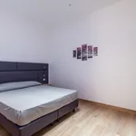 Rent 1 bedroom apartment in Bologna