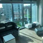 Rent 1 bedroom flat in Sheffield