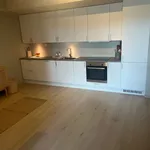 Rent 3 bedroom apartment of 67 m² in Trondheim