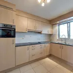 Rent 3 bedroom apartment of 120 m² in Pelt