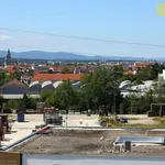 Rent 2 bedroom apartment of 49 m² in České Budějovice