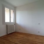 Rent 4 bedroom house of 95 m² in Toulouse