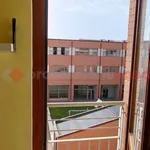 Rent 3 bedroom apartment of 75 m² in Siena