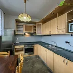 Rent 1 bedroom apartment of 37 m² in Hodonín