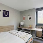 Rent 1 bedroom student apartment in York