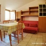 Rent 2 bedroom apartment of 50 m² in Macerata