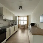 Rent 3 bedroom apartment of 80 m² in Sint-Maartensdijk