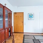 Rent a room in lisbon