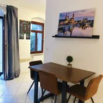 Rent 1 bedroom apartment of 592 m² in Dresden