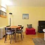 Rent 1 bedroom apartment of 45 m² in Milan