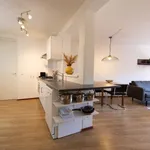 Rent 2 bedroom apartment of 45 m² in Eindhoven