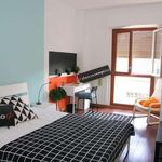 Rent a room in Firenze