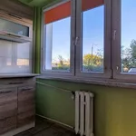 Rent 2 bedroom apartment of 40 m² in Grudziądz