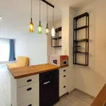 Rent 2 bedroom apartment of 45 m² in Třebíč