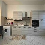 Rent 2 bedroom apartment of 46 m² in Cremona