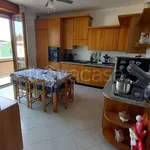 Rent 4 bedroom apartment of 100 m² in Pieve Emanuele