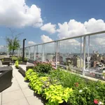 Rent 3 bedroom apartment in Manhattan