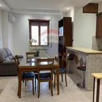 Rent 4 bedroom apartment of 93 m² in Roma