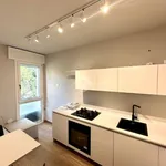 Rent 2 bedroom apartment of 38 m² in Padova