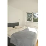 Rent 2 bedroom apartment of 60 m² in Nuremberg