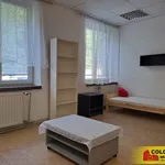 Rent 1 bedroom apartment in Blansko