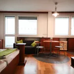 Rent 1 bedroom apartment of 30 m² in Prague