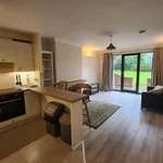 Rent 1 bedroom apartment in  Dublin 6