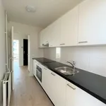 Rent 3 bedroom apartment of 55 m² in The Hague