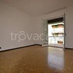 Rent 3 bedroom apartment of 100 m² in Brugherio