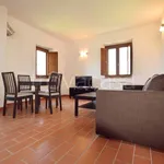 Rent 2 bedroom apartment of 65 m² in Volterra