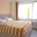 Rent 4 bedroom apartment in Ústí nad Labem