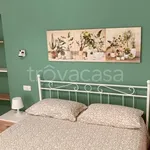 Rent 3 bedroom apartment of 90 m² in Pollica