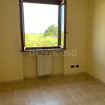 Affitto 5 camera casa di 170 m² in Borgo San Siro