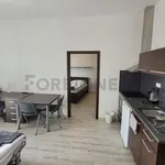 Rent 1 bedroom apartment of 44 m² in Brno