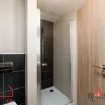 Pronajměte si 1 ložnic/e byt o rozloze 29 m² v Pilsen