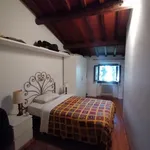 Rent 1 bedroom apartment of 40 m² in Firenze