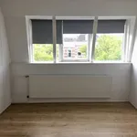 Huur 2 slaapkamer appartement van 85 m² in Rotterdam