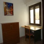 Rent a room in cordoba