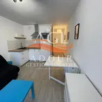 Rent 1 bedroom apartment of 20 m² in BayonneT