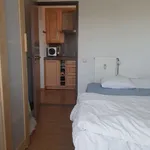 Rent 1 bedroom apartment in Leuven