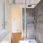 Rent 3 bedroom apartment of 110 m² in Milano